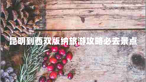 昆明到西雙版納旅游攻略必去景點