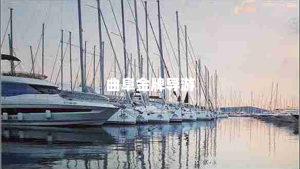 曲阜金牌導(dǎo)游