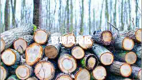 官塘風(fēng)景區(qū)