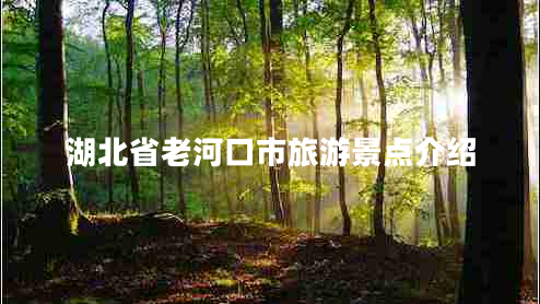 湖北省老河口市旅游景點介紹
