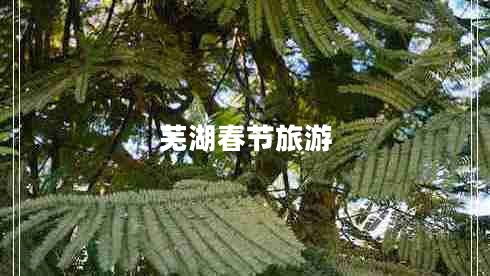 蕪湖春節(jié)旅游