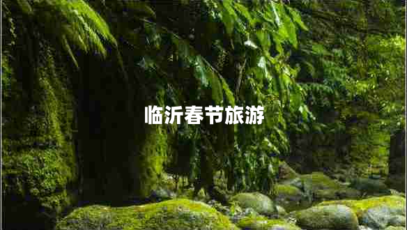 臨沂春節(jié)旅游