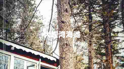 大埕灣海灘 大埕灣海灘