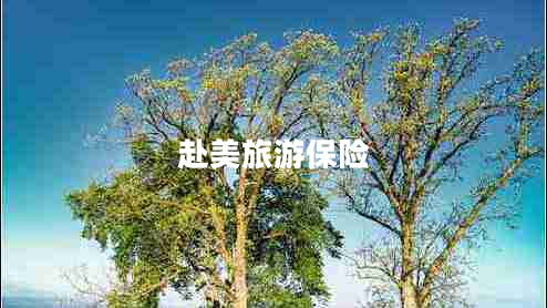 赴美旅游保險(xiǎn)