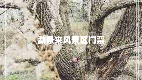 勐景來風景區(qū)門票