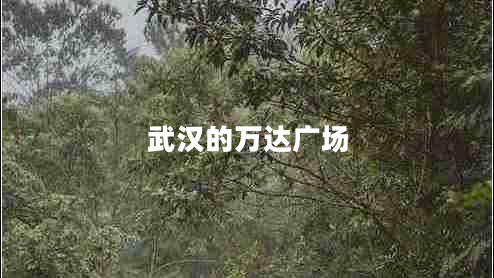 武漢的萬達(dá)廣場(chǎng)