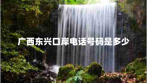廣西東興口岸電話號(hào)碼是多少