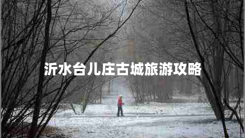 沂水臺(tái)兒莊古城旅游攻略