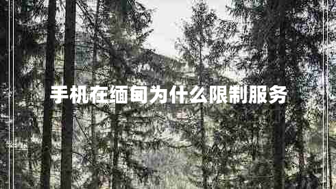 手機在緬甸為什么限制服務