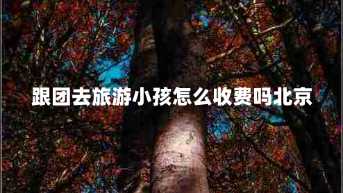 跟團(tuán)去旅游小孩怎么收費(fèi)嗎北京