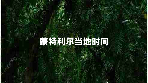 蒙特利爾當?shù)貢r間