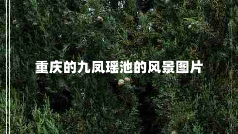 重慶的九鳳瑤池的風景圖片