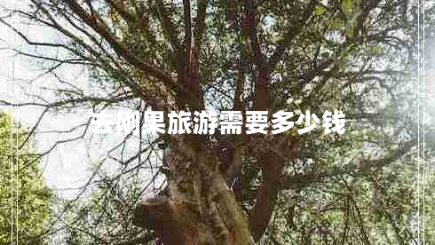 去剛果旅游需要多少錢
