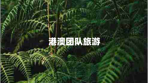 港澳團(tuán)隊旅游