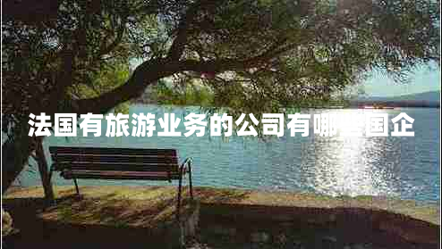 法國有旅游業(yè)務的公司有哪些國企