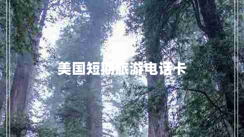 美國(guó)短期旅游電話(huà)卡