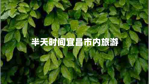 半天時間宜昌市內(nèi)旅游