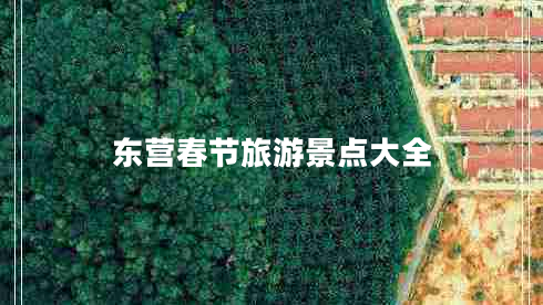 東營春節(jié)旅游景點大全