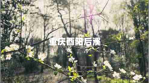 重慶酉陽后溪