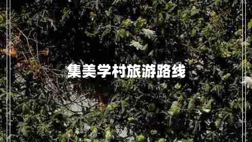 集美學(xué)村旅游路線