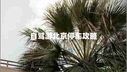 自駕游北京停車攻略