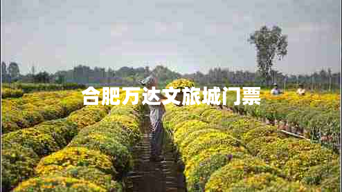 合肥萬(wàn)達(dá)文旅城門票