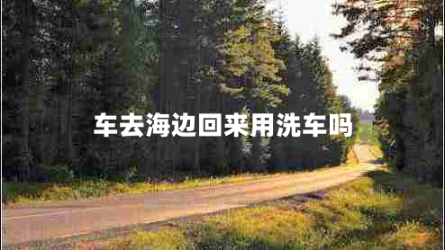 車去海邊回來用洗車嗎