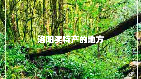 洛陽買特產的地方