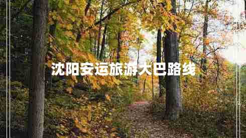 沈陽(yáng)安運(yùn)旅游大巴路線