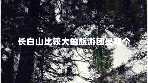 長白山比較大的旅游團(tuán)是哪個