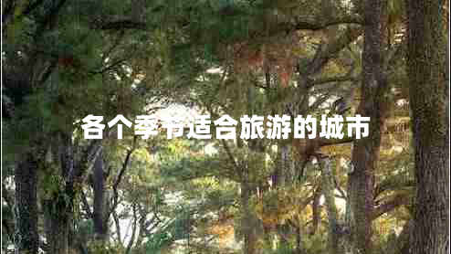 各個季節(jié)適合旅游的城市