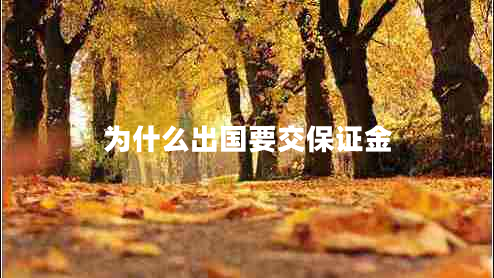 為什么出國要交保證金
