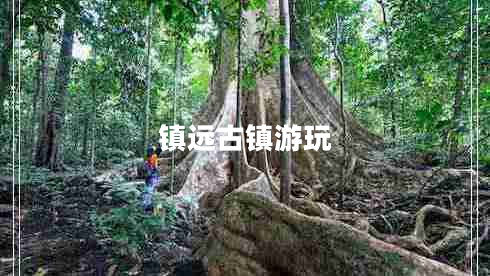 鎮(zhèn)遠古鎮(zhèn)游玩