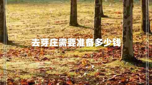 去芽莊需要準(zhǔn)備多少錢