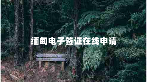 緬甸電子簽證在線申請