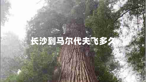 長(zhǎng)沙到馬爾代夫飛多久