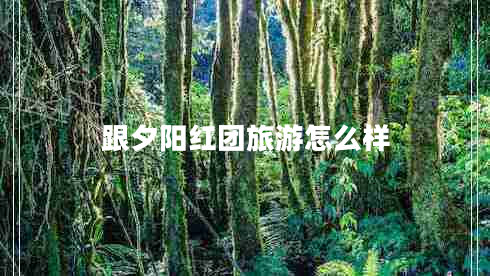 跟夕陽紅團旅游怎么樣