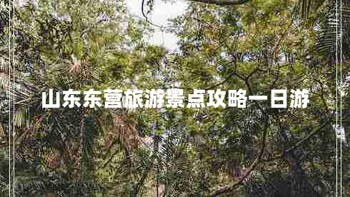 山東東營旅游景點攻略一日游