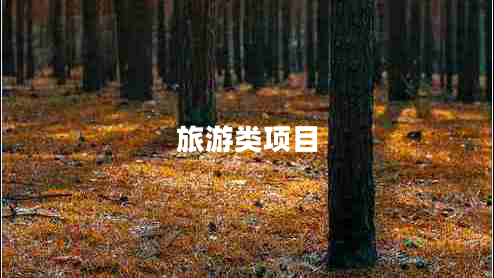 旅游類(lèi)項(xiàng)目