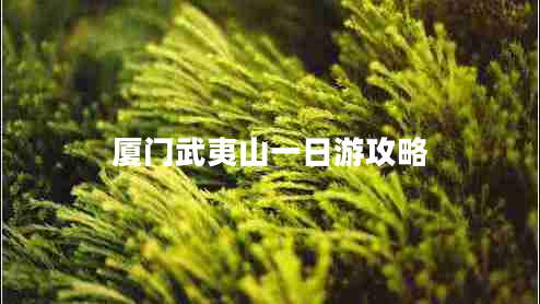 廈門武夷山一日游攻略