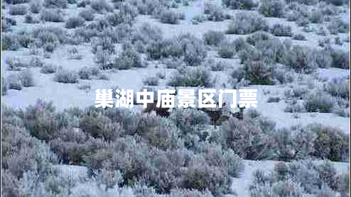 巢湖中廟景區(qū)門(mén)票