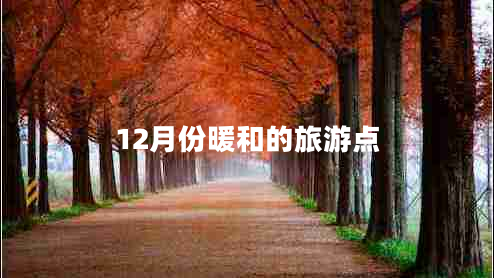 12月份暖和的旅游點