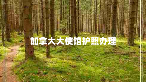 加拿大大使館護(hù)照辦理