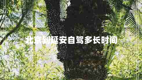 北京到延安自駕多長(zhǎng)時(shí)間