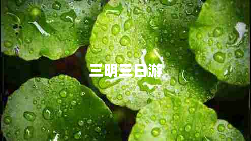 三明三日游