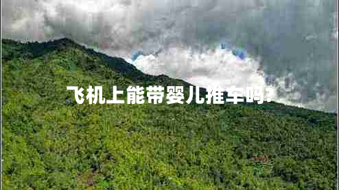 飛機上能帶嬰兒推車嗎?