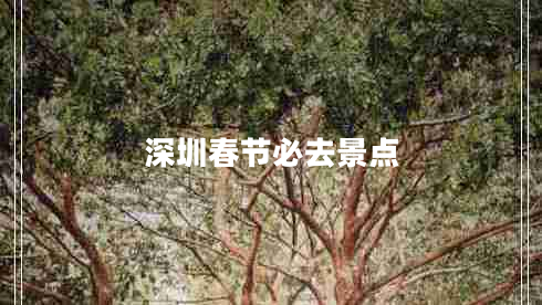 深圳春節(jié)必去景點