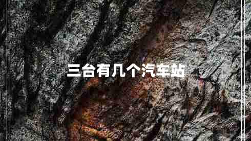 三臺(tái)有幾個(gè)汽車站 三臺(tái)有幾個(gè)汽車站