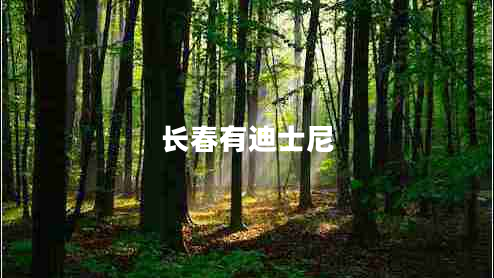 長春有迪士尼
