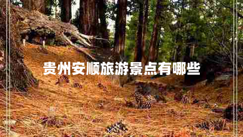 貴州安順旅游景點有哪些